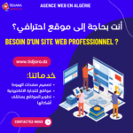 Site web Vitrine – Image 2