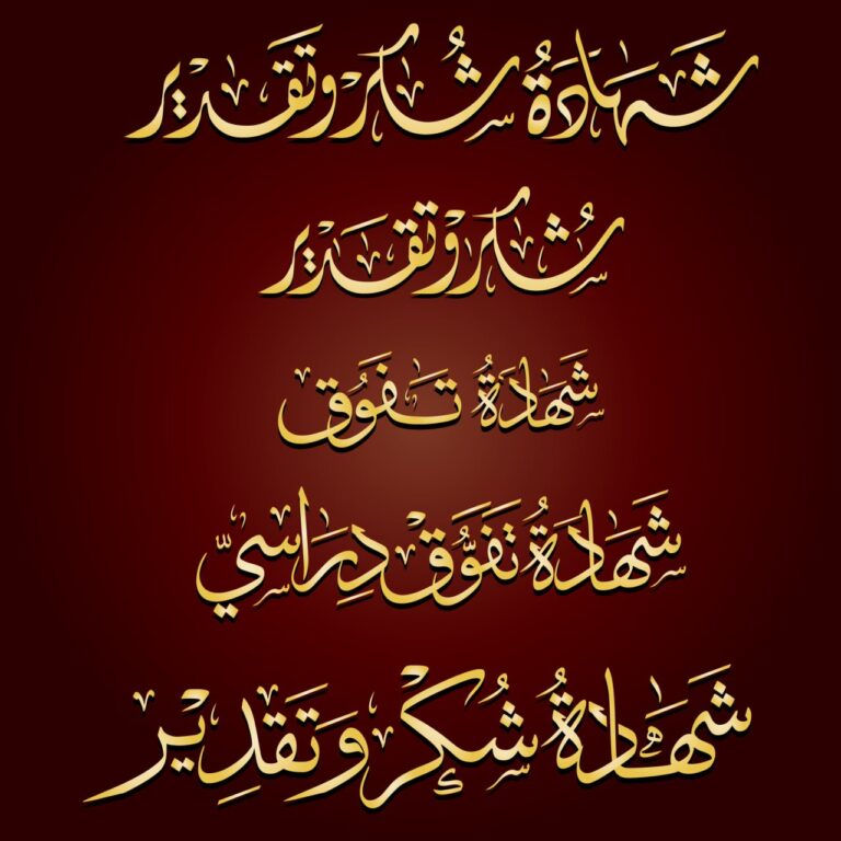 IMG 20250915 214227 573